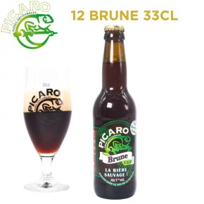 Pack Picaro Brune - 12 bières
